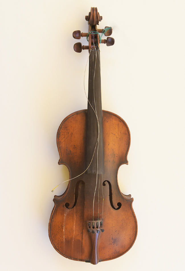 Violin